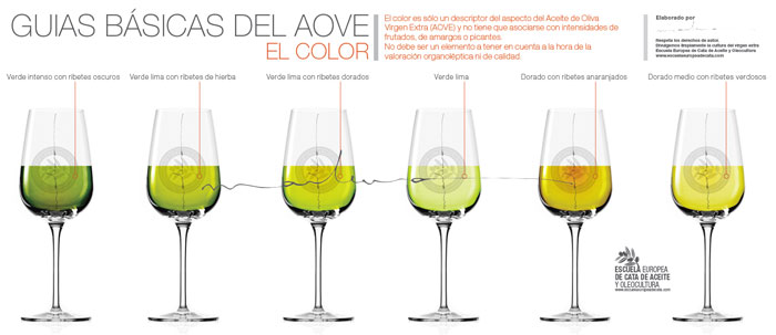 Guias basicas del Aove El Color. Copyright: Marlunavillacañas